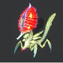 《龙泣》怪物介绍