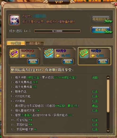 《梦幻之城》VIP介绍