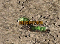 《原始传奇》精英怪物 《原始传奇》精英怪物