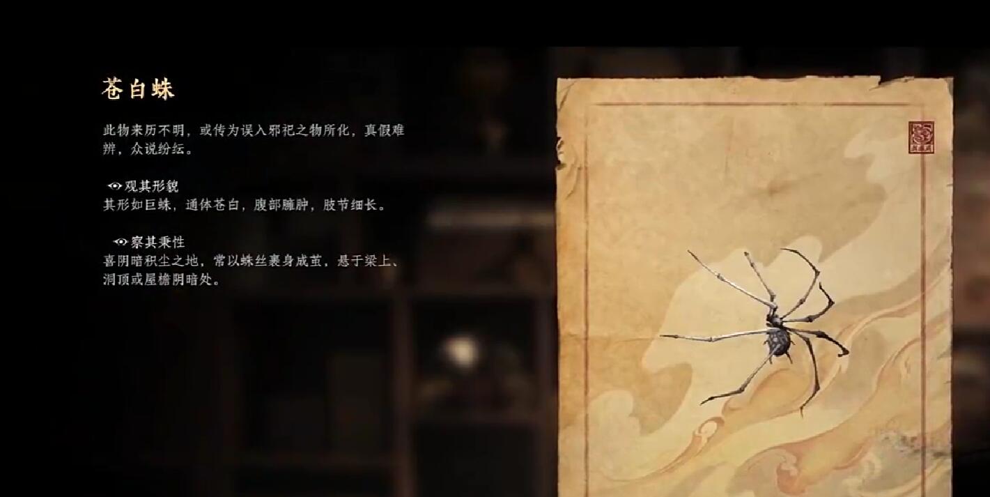 《诡影藏锋》苍白蛛攻略