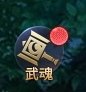 《神魔之道》武魂 《神魔之道》武魂